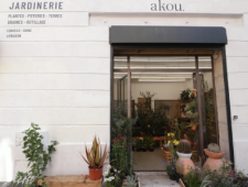 JARDINERIE AKOU - 91 rue Paradis 13001